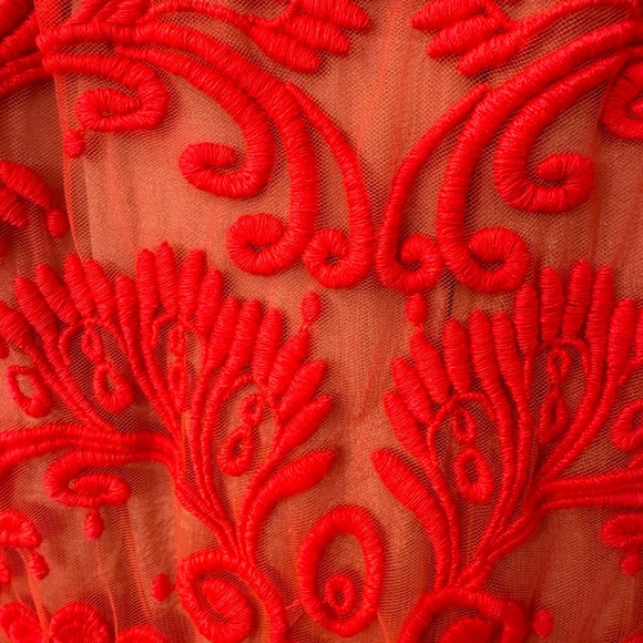 Anthropologie Baraschi embroidered skirt - Picture 3 of 9